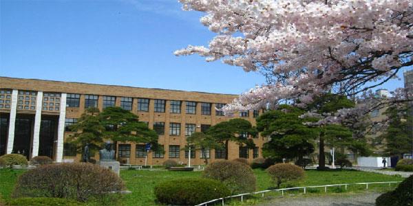 05.jpg