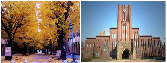 日本留学,东京大学