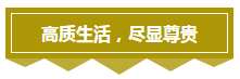 15.png