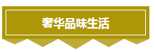 19.png