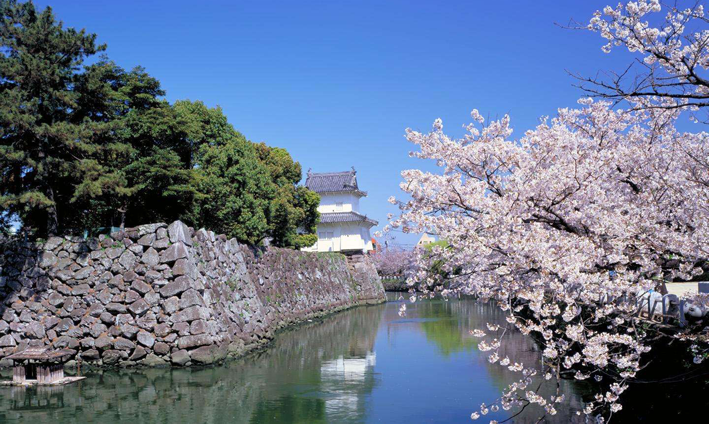 日本留学-出国速递