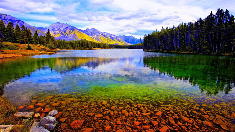 ab00873778de42768942d682698cd235_th.jpg