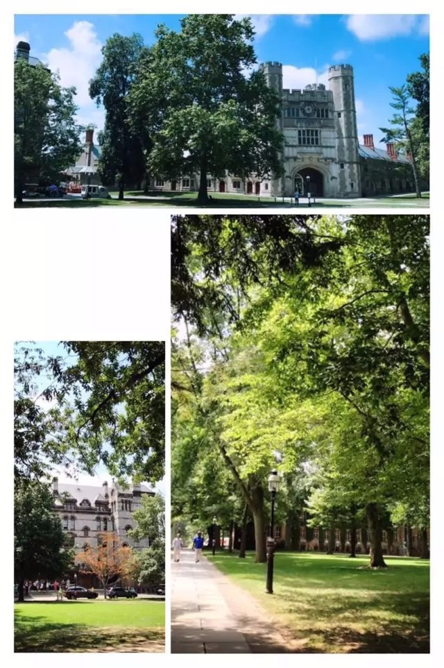 15046871561424588.jpg