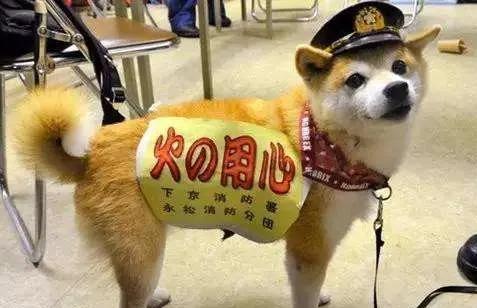 日本劳务-出国劳务