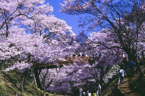 日本派遣-日本劳务