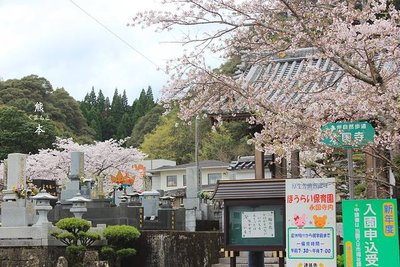 日本劳务-日本派遣