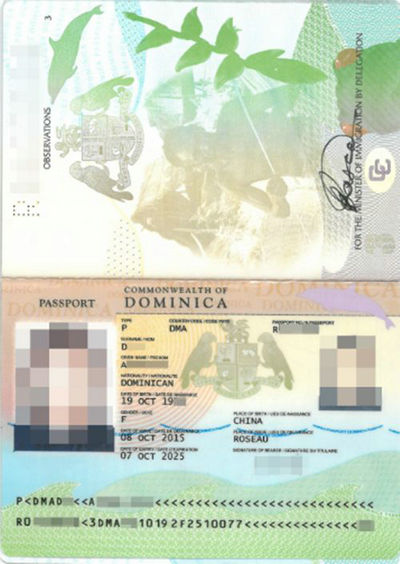 2222.jpg
