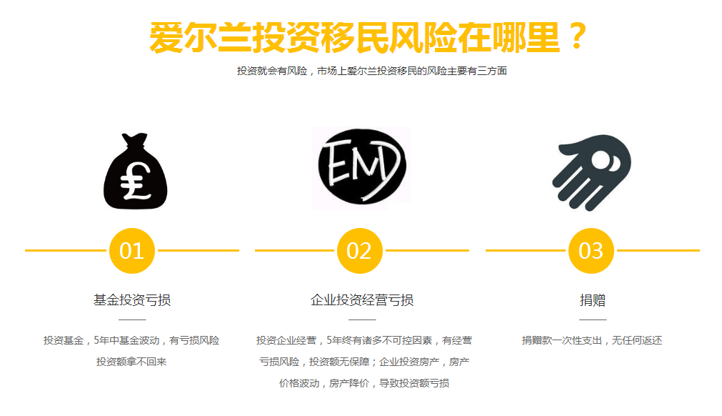 爱尔兰移民