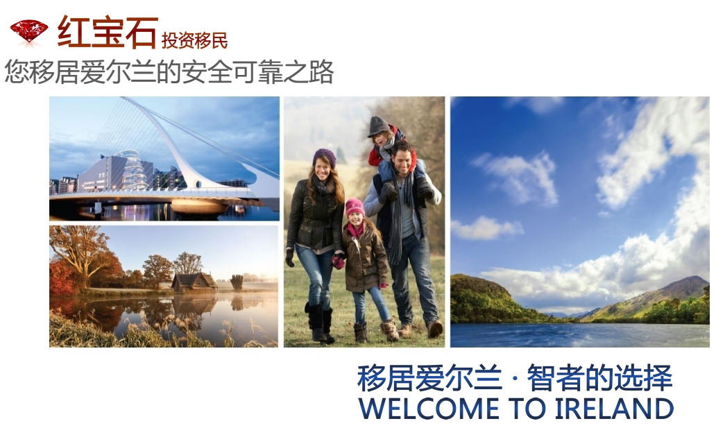 爱尔兰移民