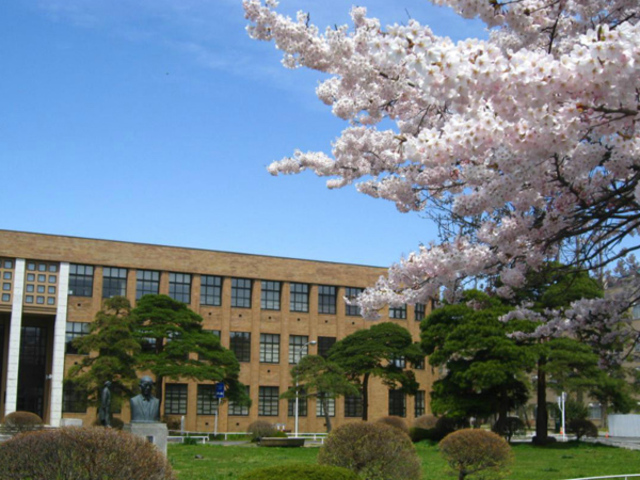 东北大学2.jpg