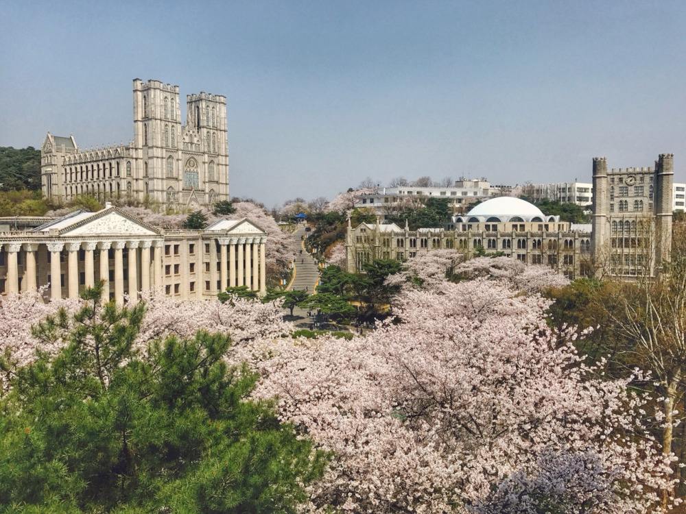 庆熙大学(出国速递)