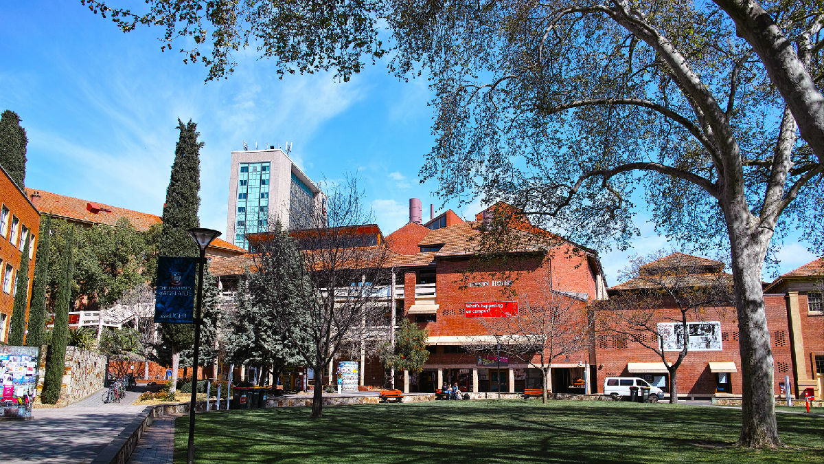阿德雷德大学-出国速递