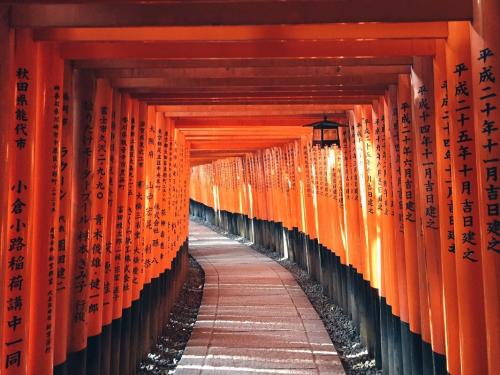 日本留学-出国速递