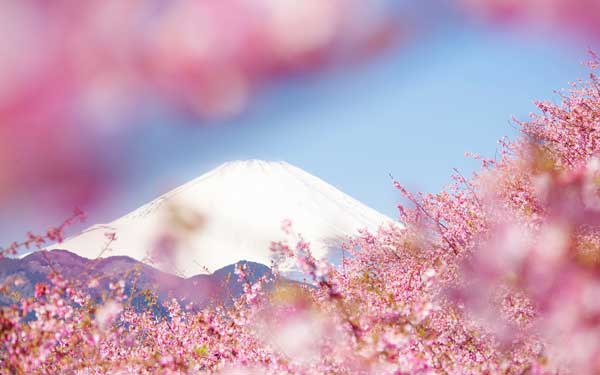 日本劳务-出国速递