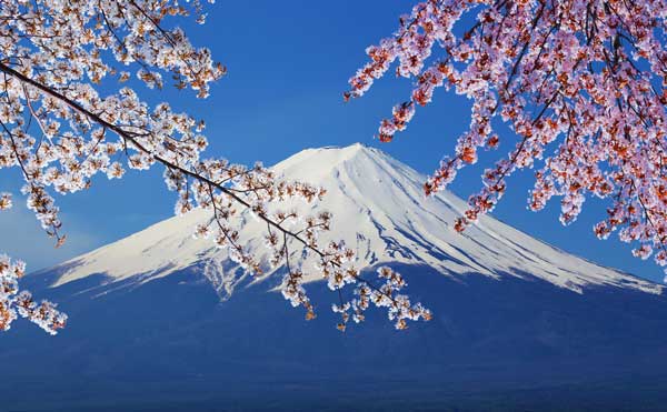 出国注册劳务公司-出国速递