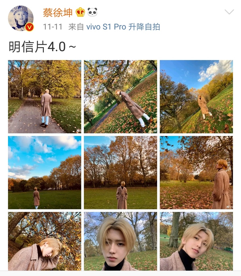 徐蔡坤