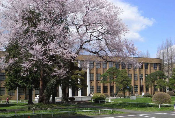 留学