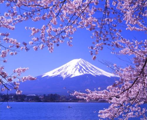 日本签证-出国速递