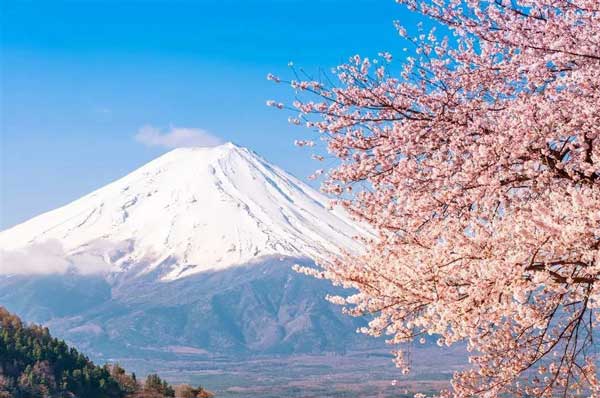 日本留学-出国速递