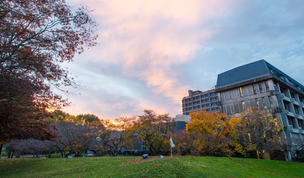 坎特伯雷大学