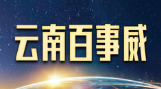 百事威国际