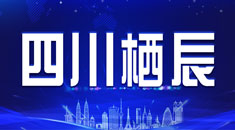 四川栖辰教育咨询有限公司