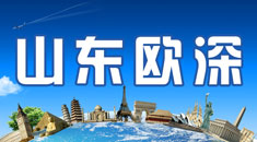 山东欧深出国咨询有限公司