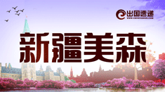 新疆美森出国
