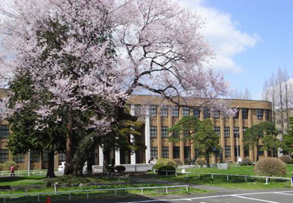 日本留学