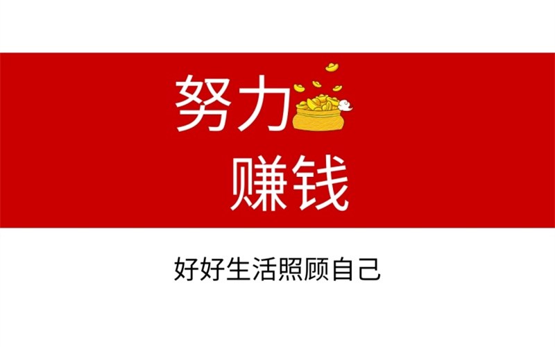 努力赚钱
