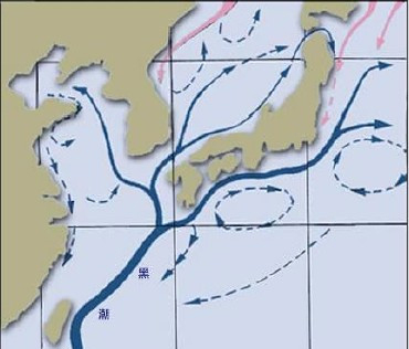 千岛寒流示意图 出国速递