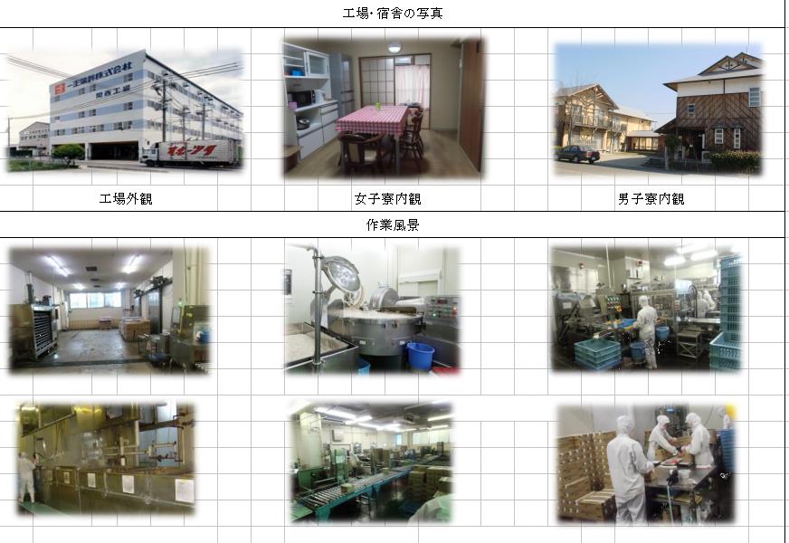 公司环境