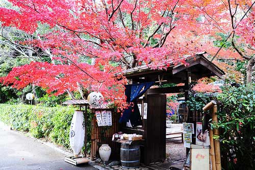 日本劳务-出国速递