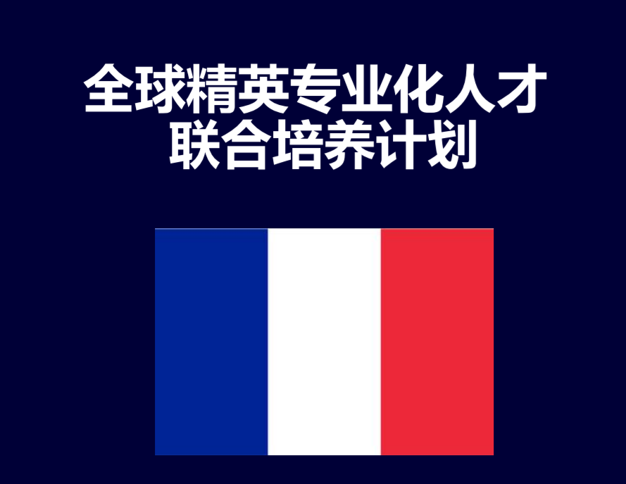 全球精英专业化人才联合培养计划