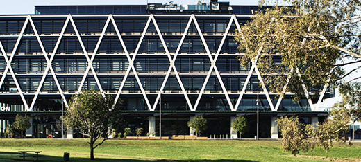 出国留学-新西兰留学-新西兰一马努卡理工学院 出国留学-新西兰留学-新西兰一马努卡理工学院