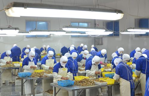 出国劳务-新西兰劳务 出国劳务-新西兰劳务