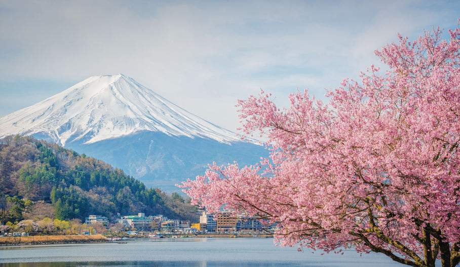 出国留学-日本留学-选择适合自己的学校种类 出国留学-日本留学-选择适合自己的学校种类