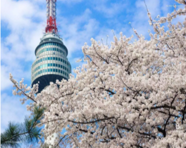韩国顶尖名校“SKY”申请攻略,韩语零基础也可申请 韩国顶尖名校“SKY”申请攻略,韩语零基础也可申请