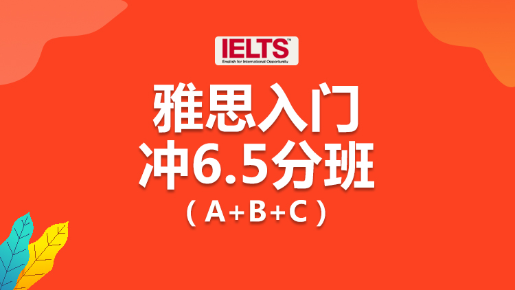雅思考试 雅思考试