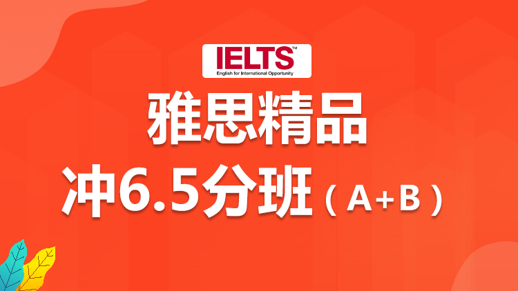 雅思考试 雅思考试