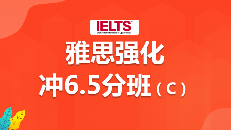 雅思考试 雅思考试