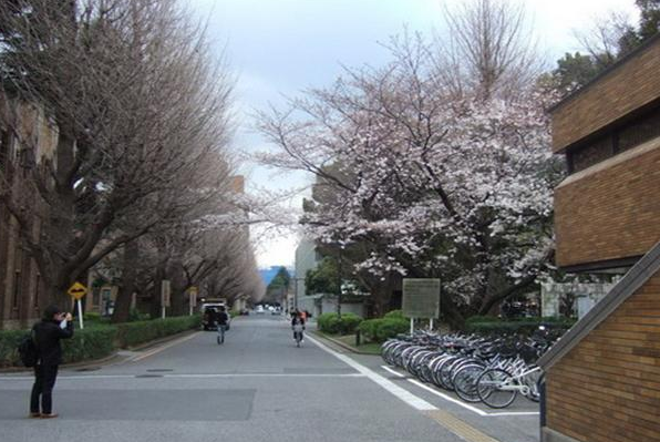 日本劳务-工科大学生就职 日本劳务-工科大学生就职