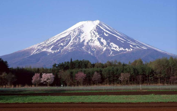 日本留学 日本留学