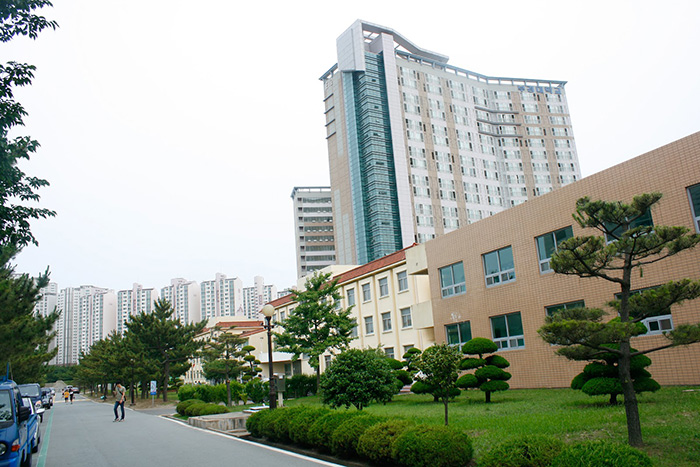 韩国留学