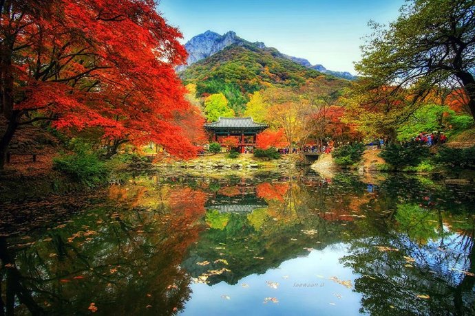 韩国留学 韩国留学