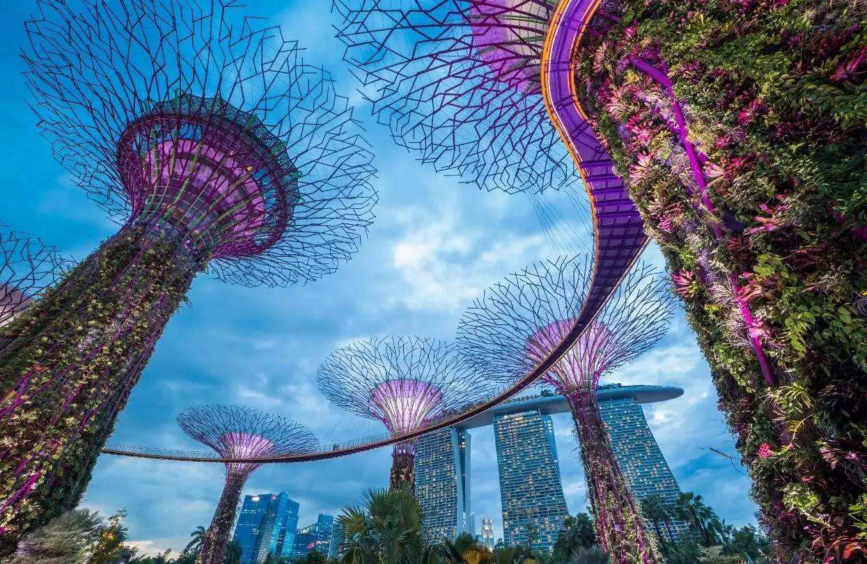 出国劳务-新加坡招聘