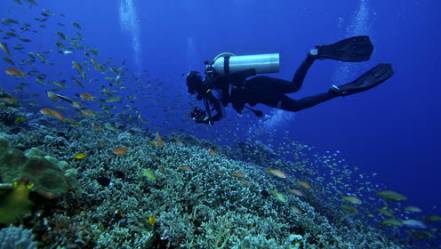 潜水课非常的有趣 潜水课非常的有趣