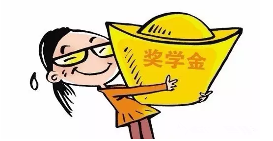 荷兰奖学金 荷兰奖学金