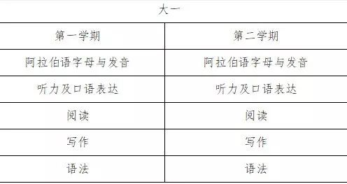 坦塔大学零基础阿拉伯语本科