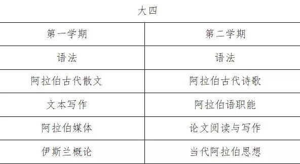 坦塔大学零基础阿拉伯语本科